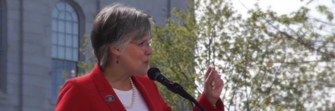 Rep Heidi H Sampson banner