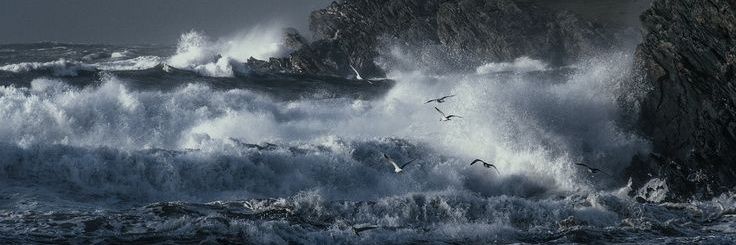 f81057601's profile banner image