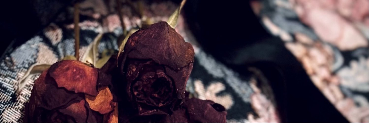 pxek_k's profile banner image