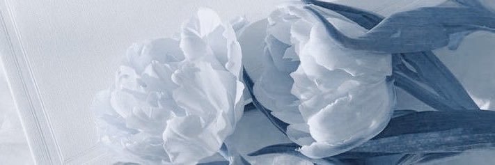 Mads ‧₊˚❀༉ ❄️ banner