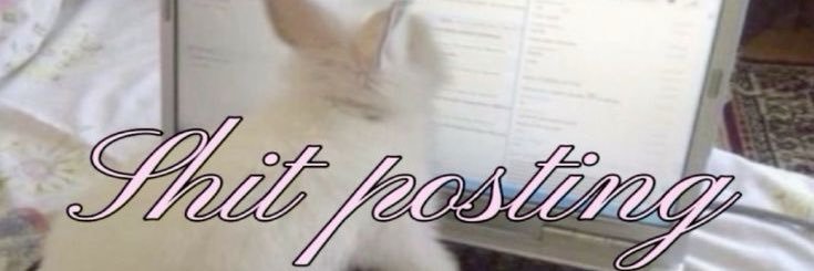 zoraxy_'s profile banner image