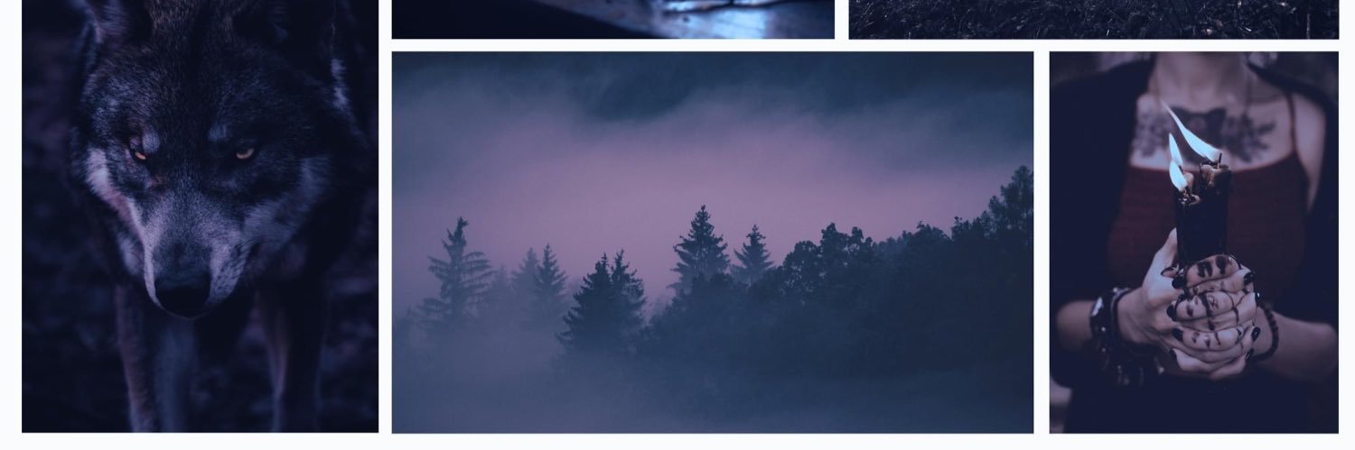 Charlie Morgan / Author banner