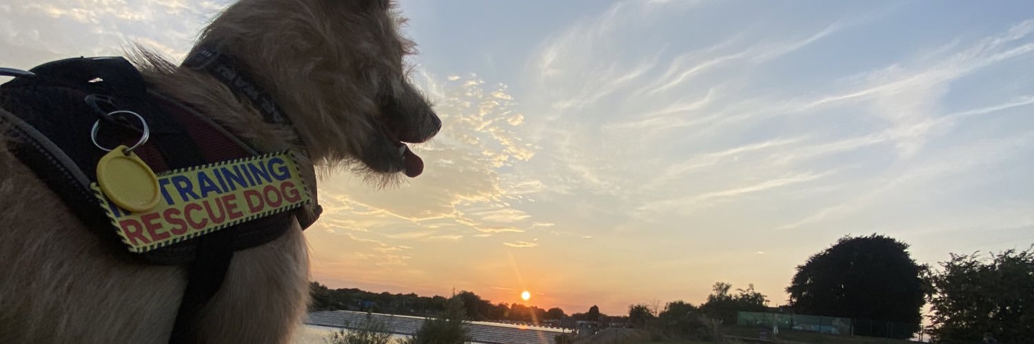 JennnyHale's profile banner image