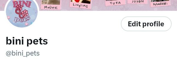 bini_cats Profile Banner