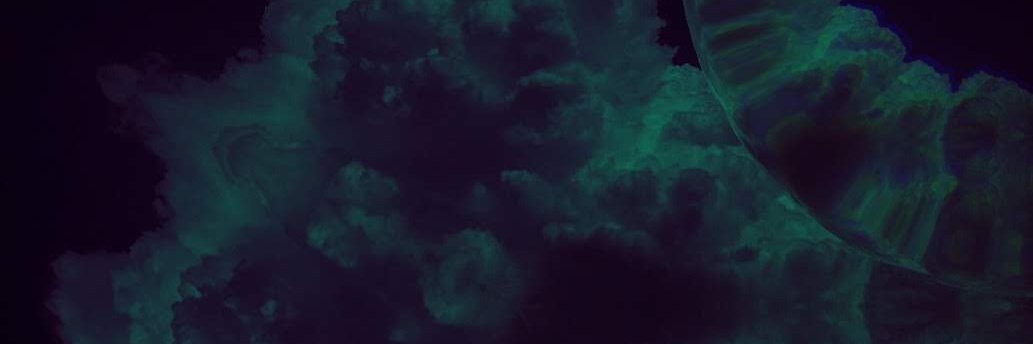 lilithsvoid's profile banner image