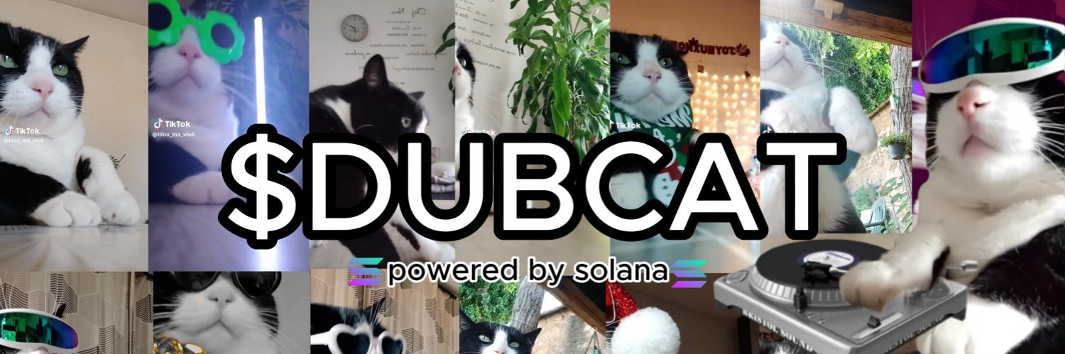 DubCatOnSol banner
