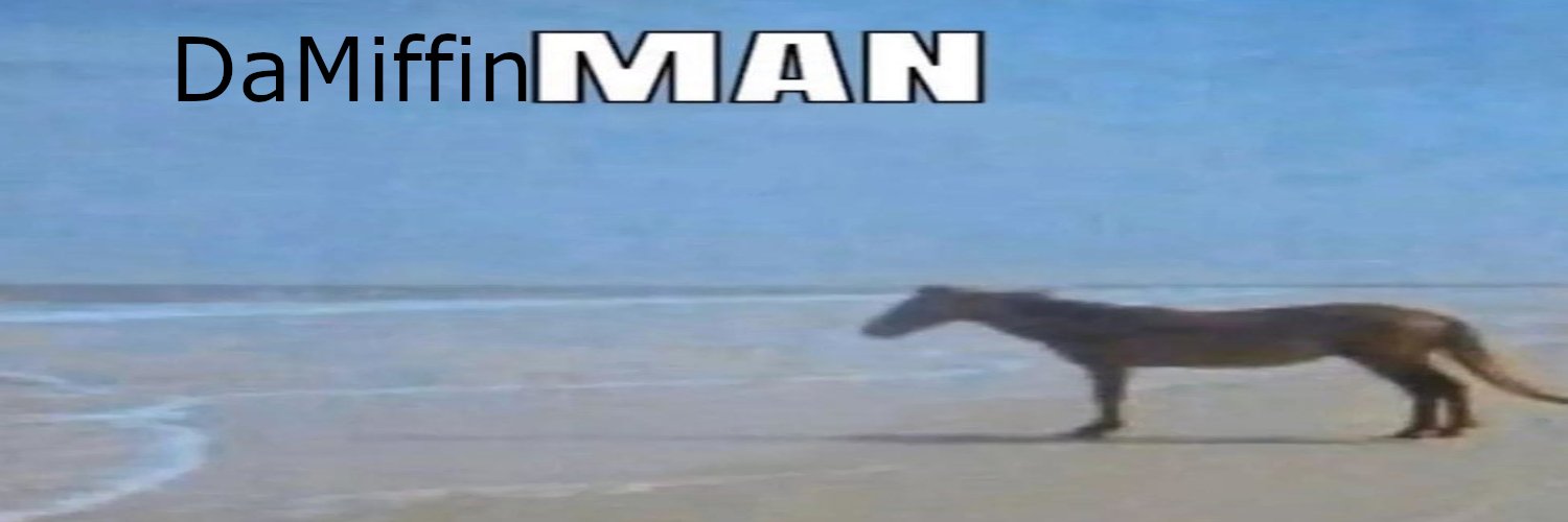 DaMiffinMan's profile banner image