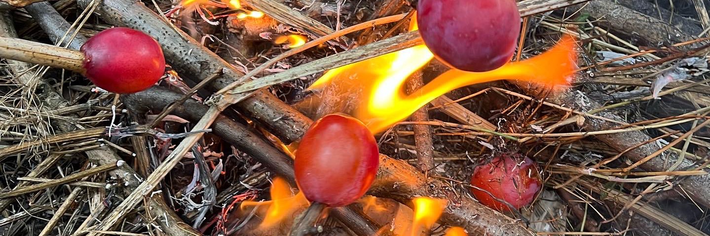 Thrills and Skills for Life🇺🇦🇬🇧 banner