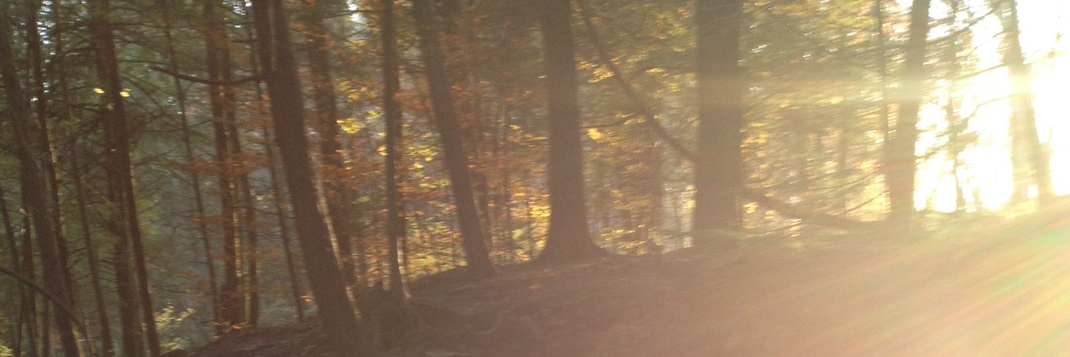 _c0ffeeprincess's profile banner image