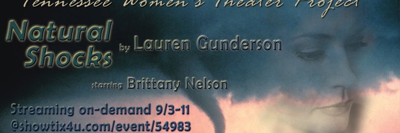 Tennessee Women's Theater Project banner