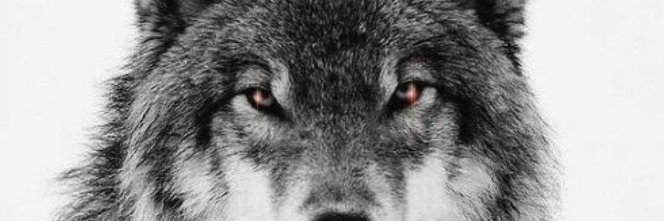 Serdar6791's profile banner image
