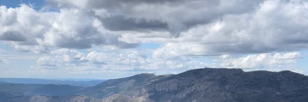 DariusX0 banner