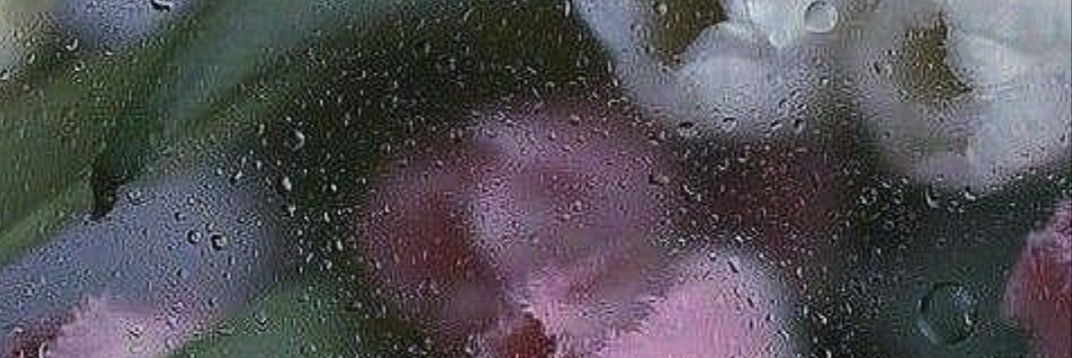 ساحل ارامش's banner