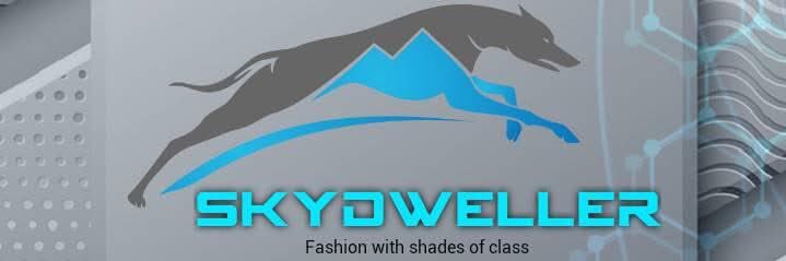 Skydweller Inc. banner
