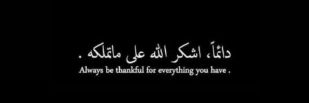 Netik (retired) banner