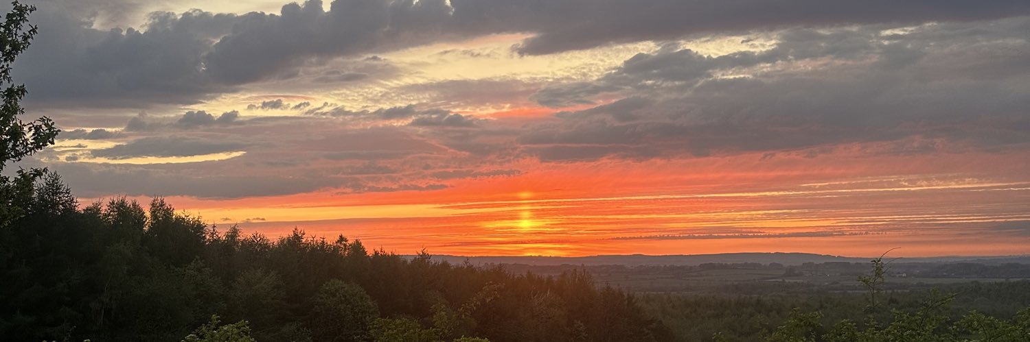 NeeveWest's profile banner image