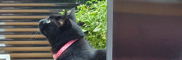 D_And_A_Authors Profile Banner