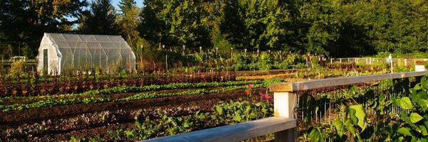 the_egp Profile Banner