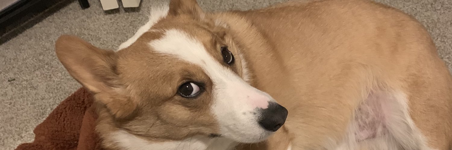 BenHasNoBeaird's profile banner image