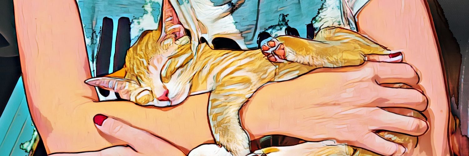 Francisco Sendra banner