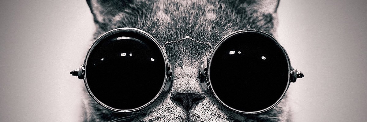 Rhiannnax's profile banner image