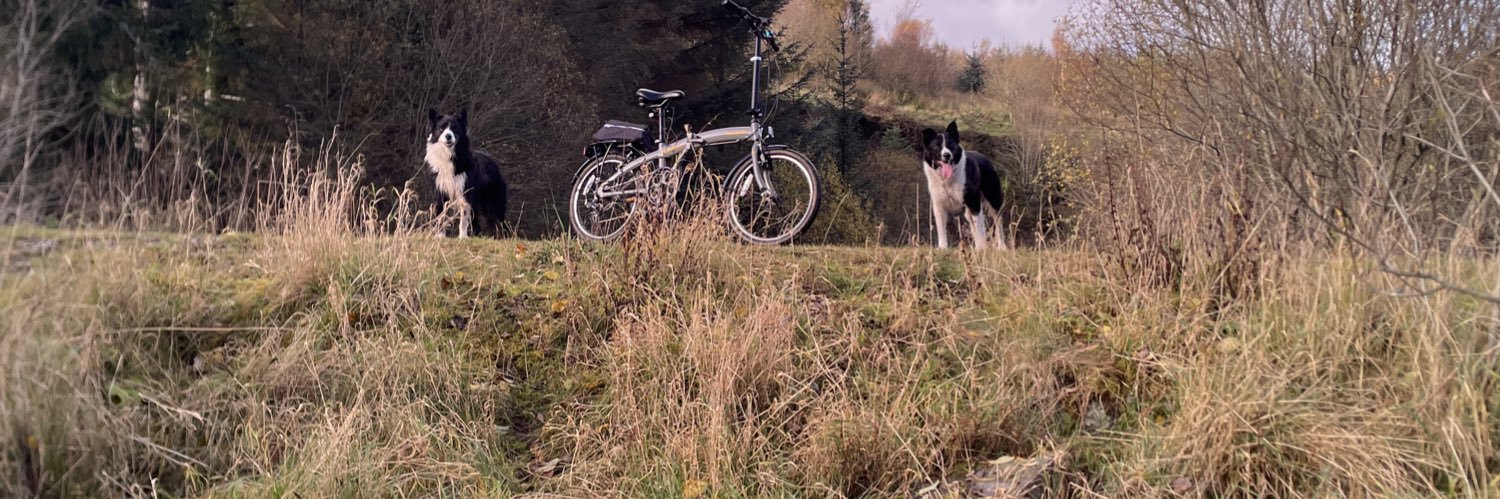Beck, Dash & Tina banner