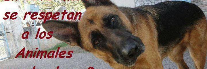 ROLDAN247's profile banner image