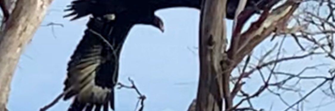 MarkWHawkes's profile banner image