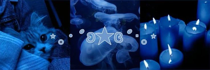 ໒꒱ 𝑩𝒖𝒔𝒄𝒂𝒏𝒅𝒐 𝐴𝑑𝑚𝑖𝑛𝑠 ‹𝟹〃 ˝ banner