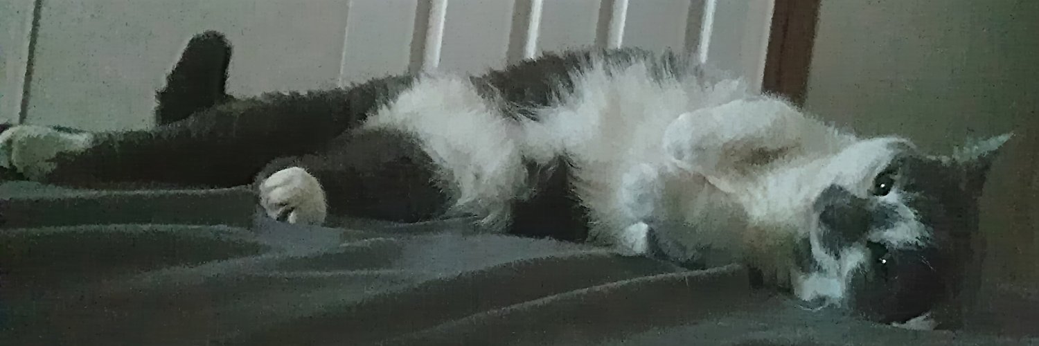 Jane Ori 💜 CSS Contortionist banner