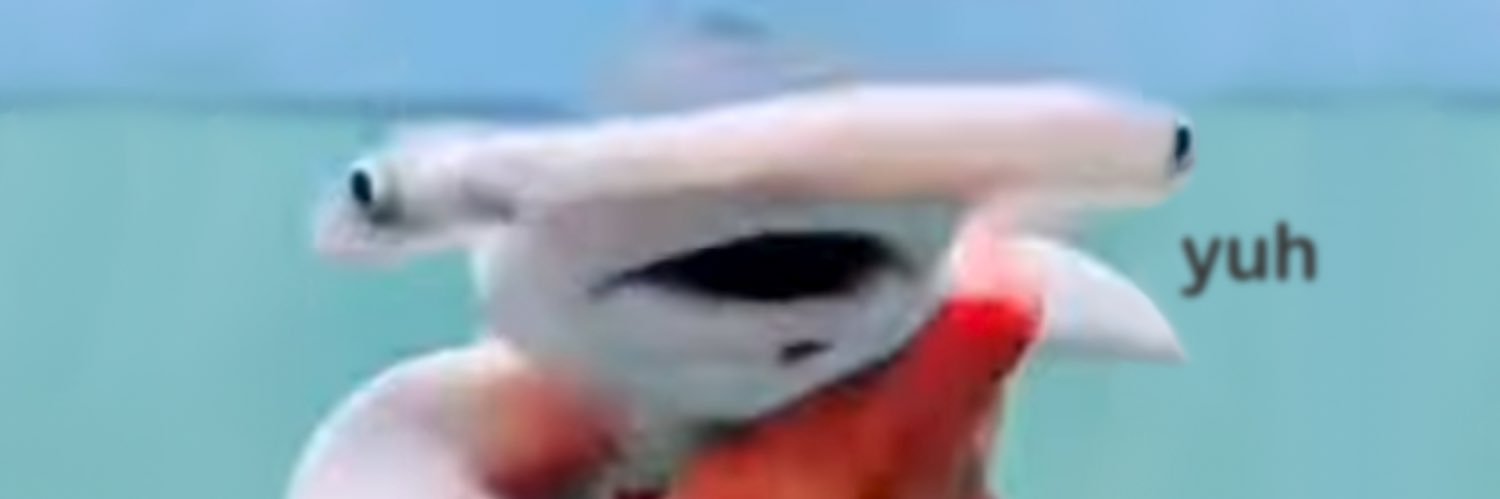 SaltyShork's banner