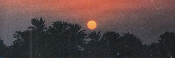 crnnrl_ Profile Banner