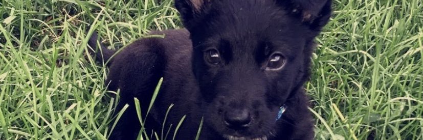 just_symoneeeee's profile banner image