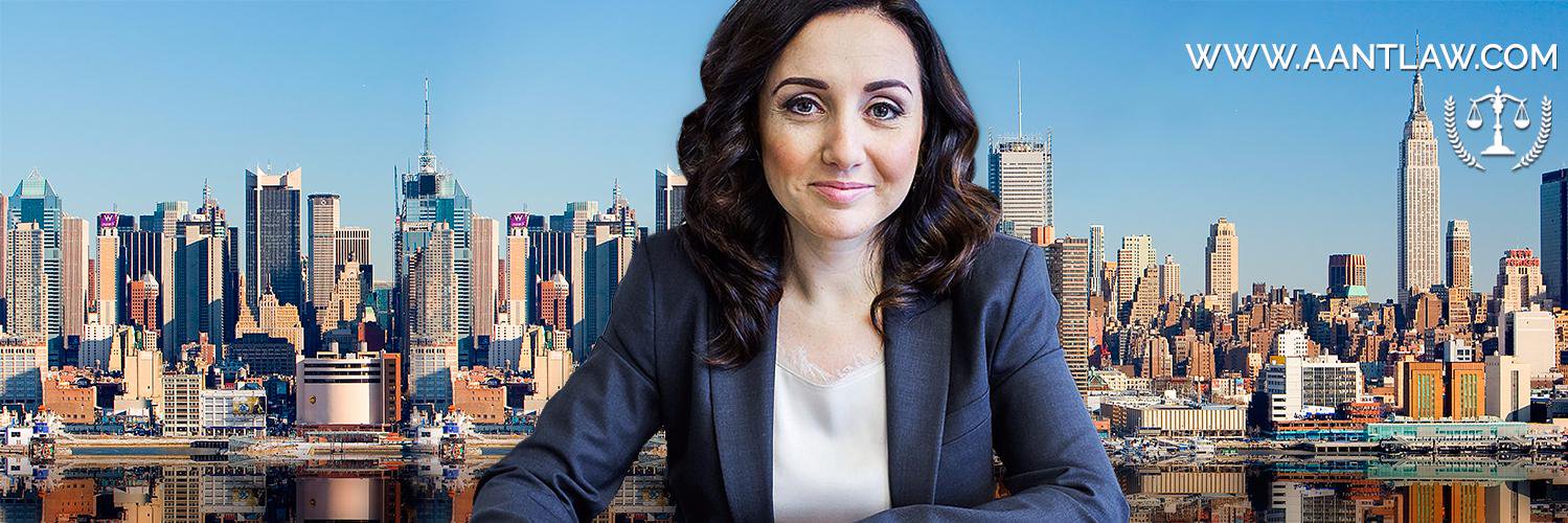 aliceantonovsky's profile banner image