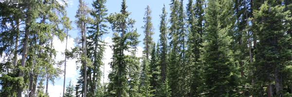 jonathanwindham Profile Banner