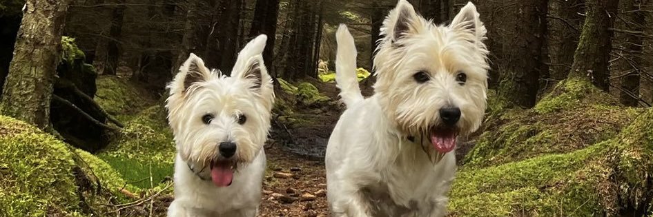 Heather Tennant banner