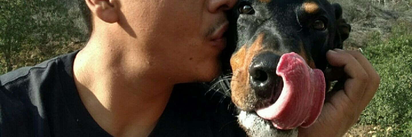 cheechandchux's profile banner image