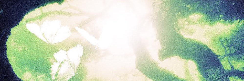 ixko_wav's profile banner image