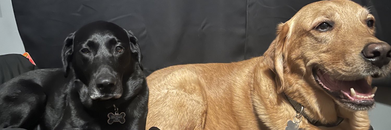 caroltrevor's profile banner image
