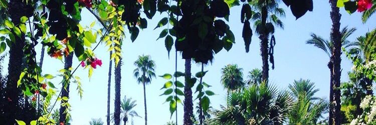 Jen_Will19's profile banner image