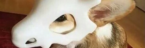 a_rieul's profile banner image