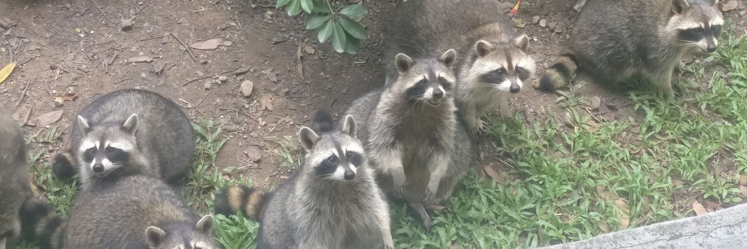 真武閣文旅 banner