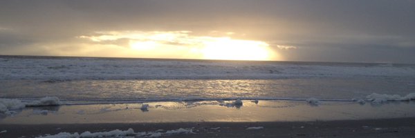 RyanGreen1010XL Profile Banner