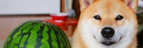 BigStinkyCade's profile banner image