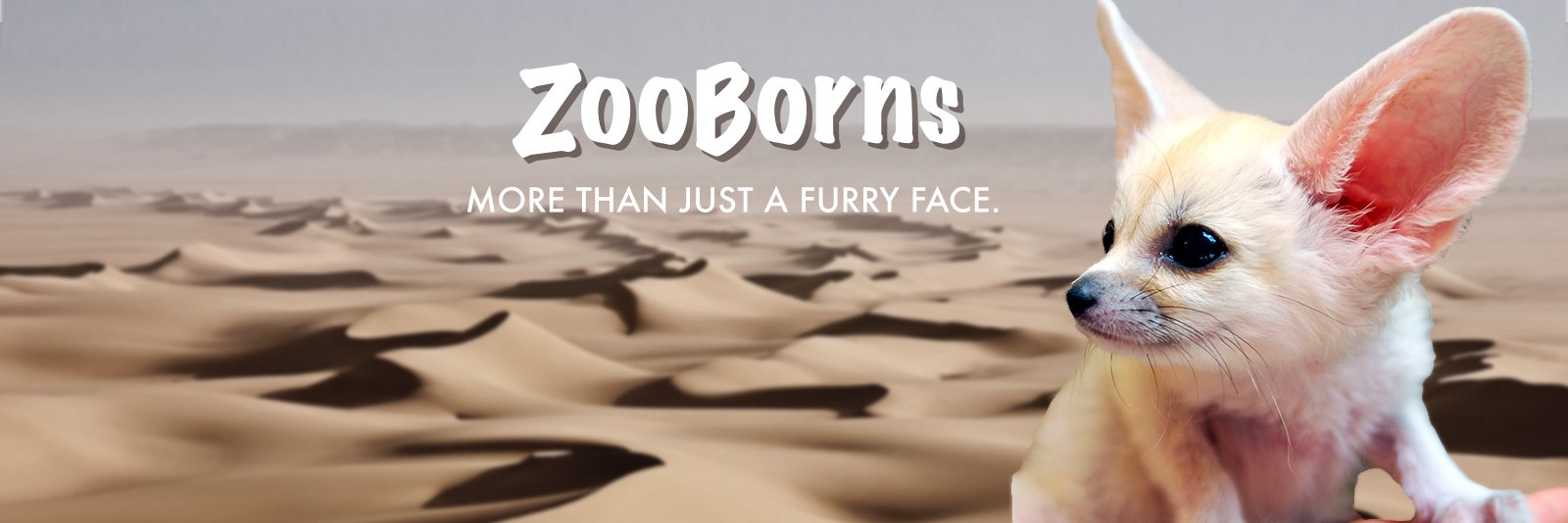 ZooBorns's profile banner image