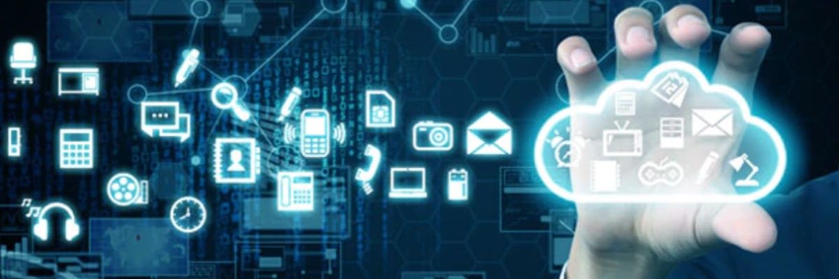 mtribolet's profile banner image