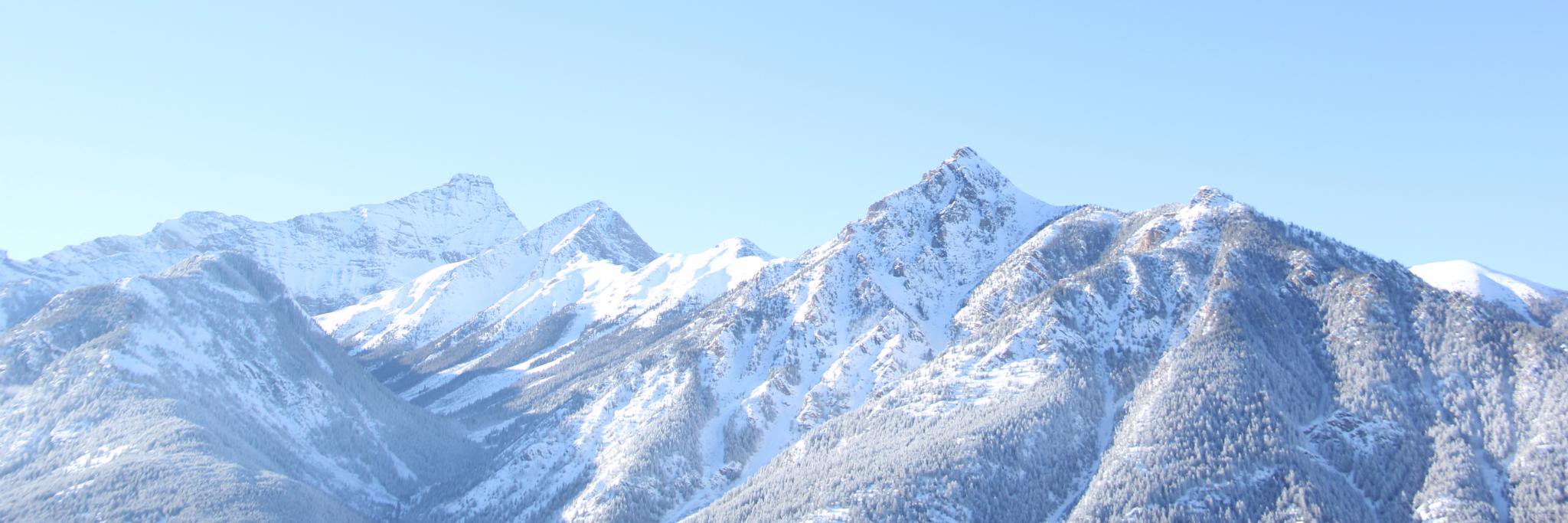 Corbin Fraser banner