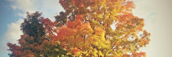 joshdougall Profile Banner