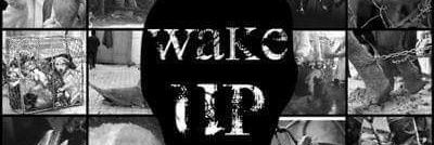 Twakkies01's profile banner image