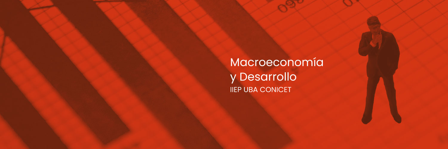 Macro IIEP banner